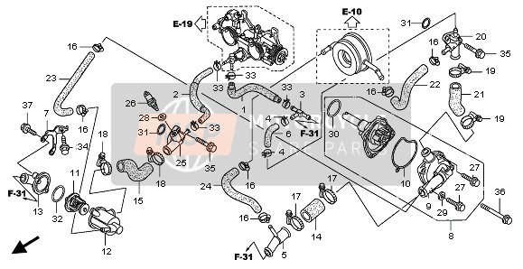 Honda FJS600A 2006 WATER PUMP for a 2006 Honda FJS600A